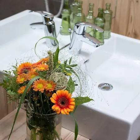 Tatil Evi Bachgut Jagdhaus Saalbach-Hinterglemm